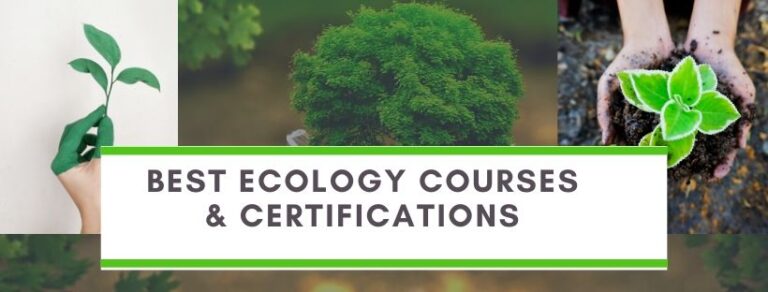 Ecology Certification courses online