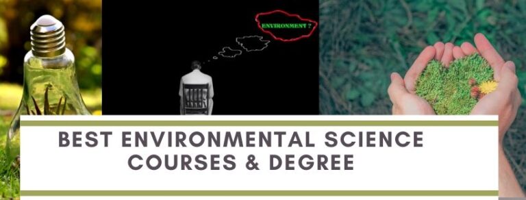 Environmental online study